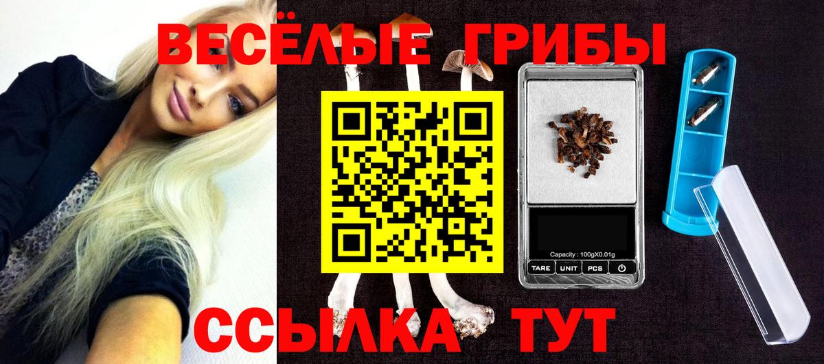 Псилоцибиновые грибы мухоморы Кашира
