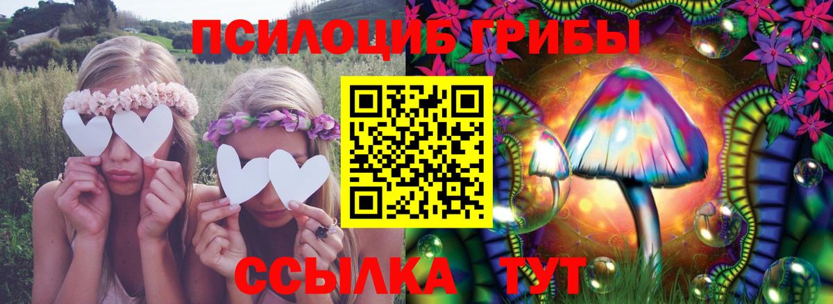 Псилоцибиновые грибы ЛСД  Псилоцибиновые грибы Cubensis  купить наркотик  Кашира  Вход с VPN 